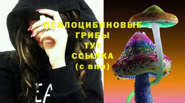 твердый Семёнов