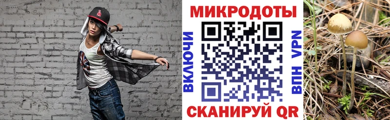 Галлюциногенные грибы Magic Shrooms  закладки  Дюртюли 