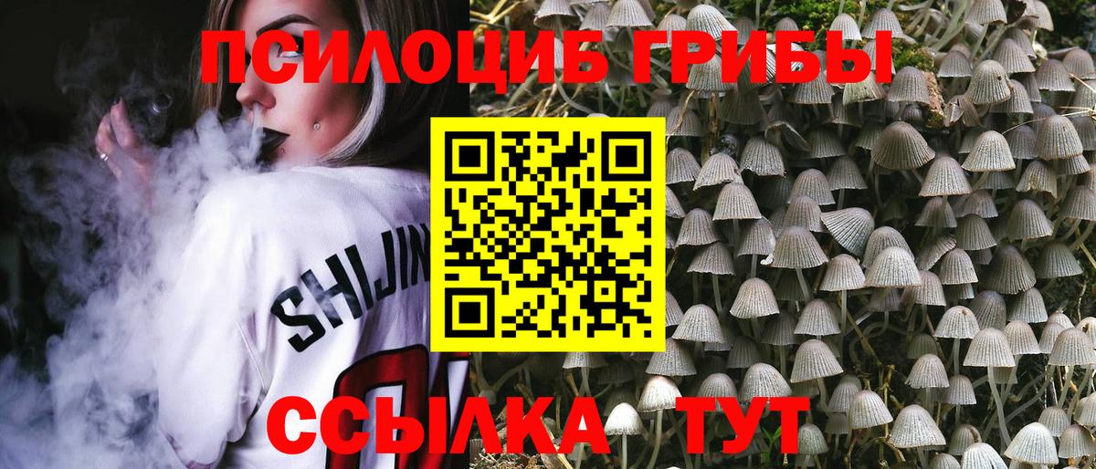 Галлюциногенные грибы ЛСД  Псилоцибиновые грибы мицелий  Дюртюли  Вход с VPN 